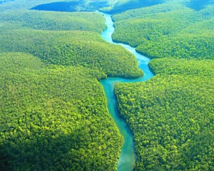 selva-amazonica_6635851029